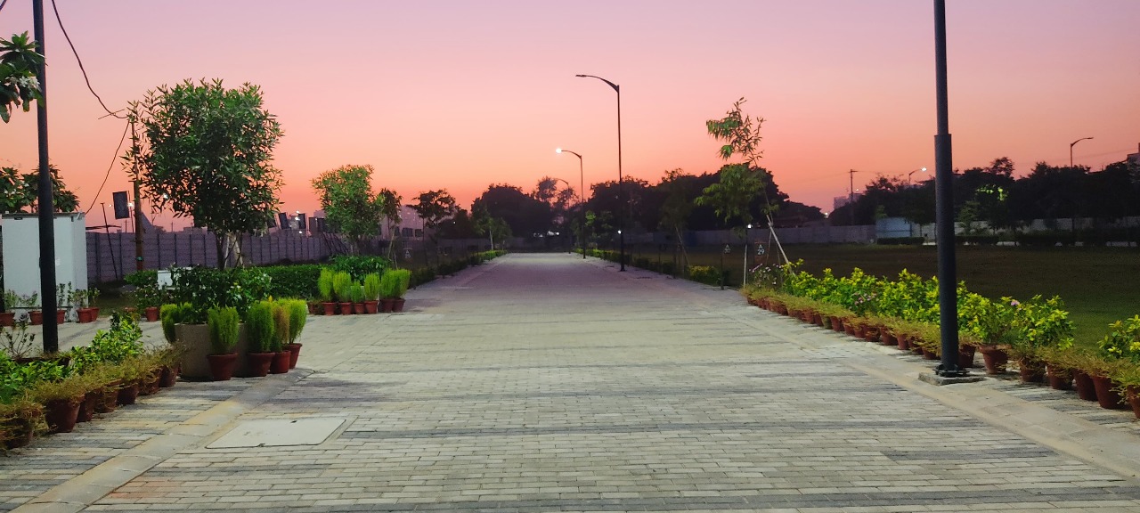 Plot For Sale in Bptp District 6 L Block S