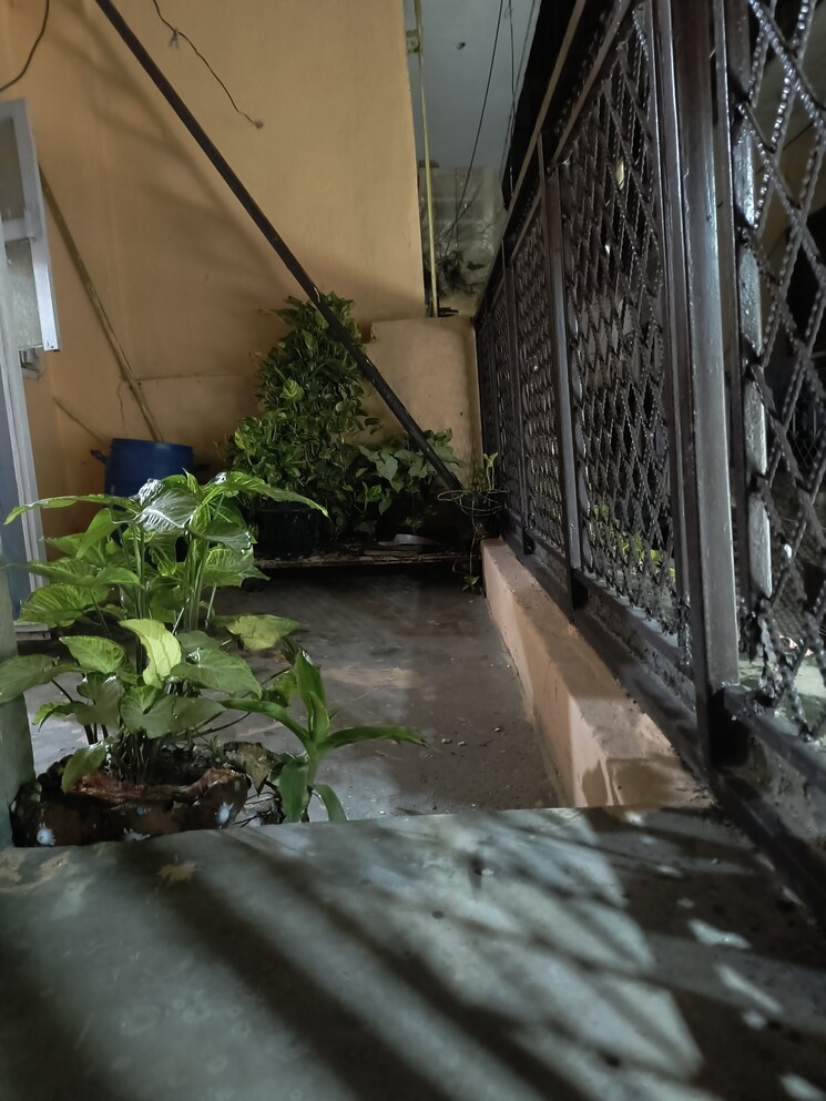 Balcony, sarita vihar 2 Bedroom 850 Sq.Ft. Apartment In Sarita Vihar Delhi 8996022