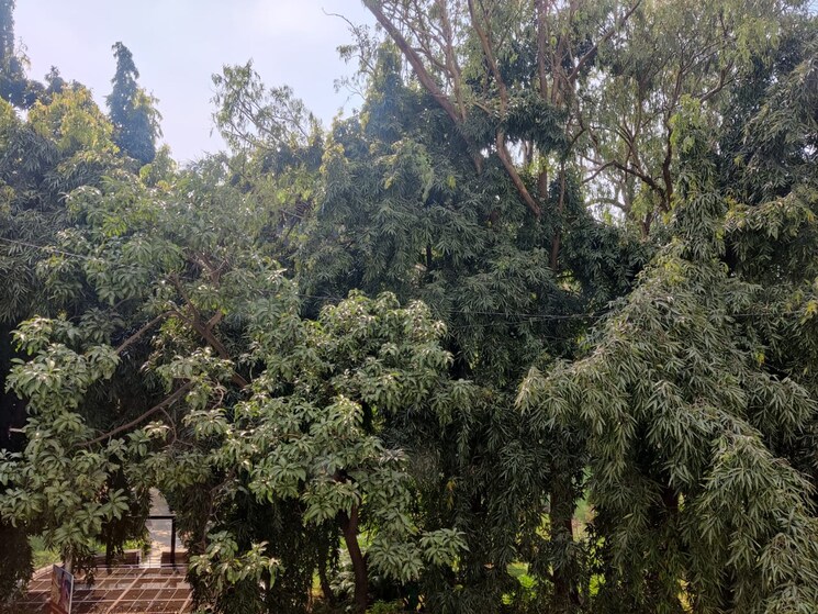 Garden, khar west 2 Bedroom 850 Sq.Ft. Apartment In Khar West Mumbai 8996082