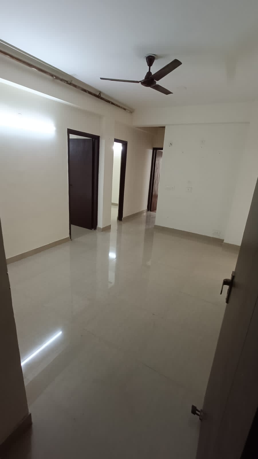 2 BHK Apartment For Rent in Panchsheel Greens