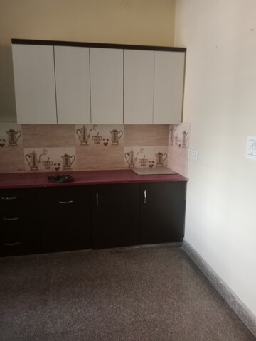Kitchen in 2 BHK Builder Floor at Huda – for Rent