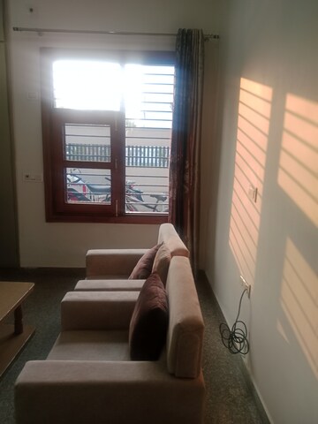 Living Room in 3 BHK Independent House at Sector 13 – for Rent