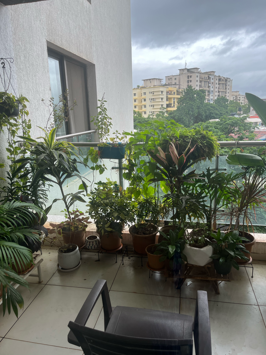 4 BHK + Servant Room 2201 Sq.Ft. Apartment in Pride Purple Park Titanium