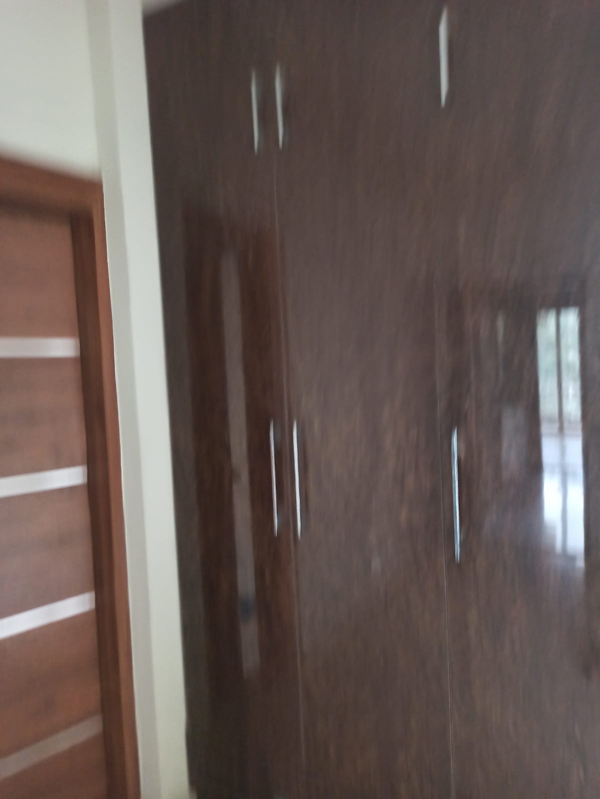 3.5 BHK + Pooja Room,Servant Room Builder Floor For Rent in DLF Alameda