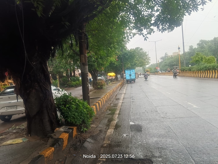 Exterior View, sector 22 6+ Bedroom 162 Sq.Yd. Independent House In Sector 22 Noida 8996335