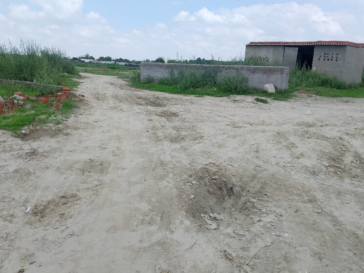 undefined, sector 143  50 Sq.Yd. Plot In Sector 143 Noida 8996340