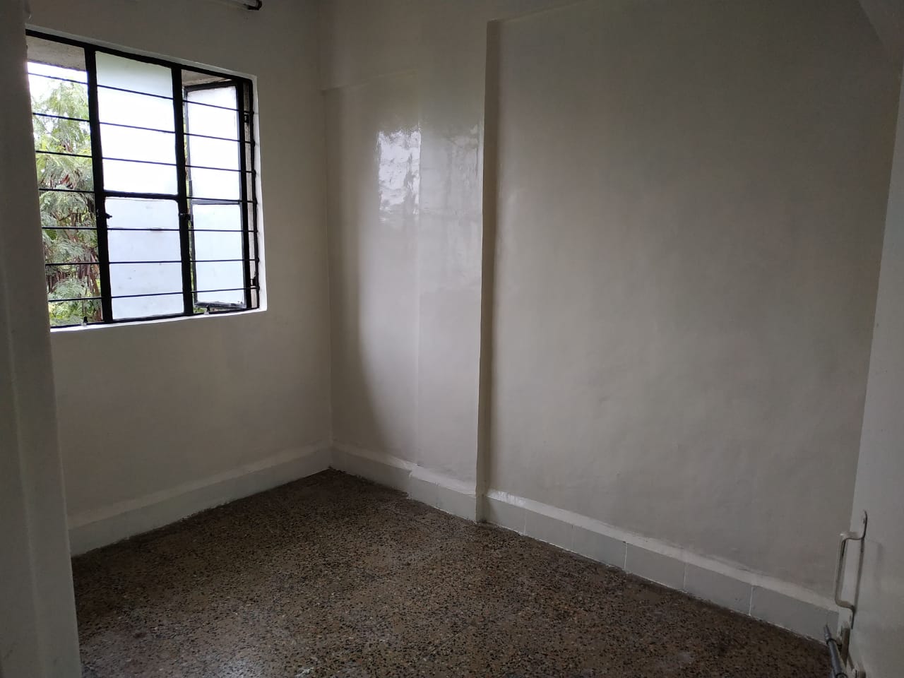 1 BHK Apartment For Rent in Venkatesh CHS