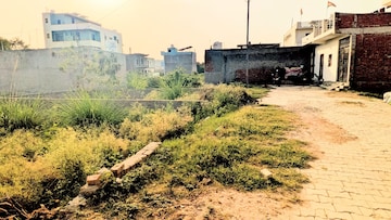 Plot Area in  Plot at Sector 151 – for Sale
