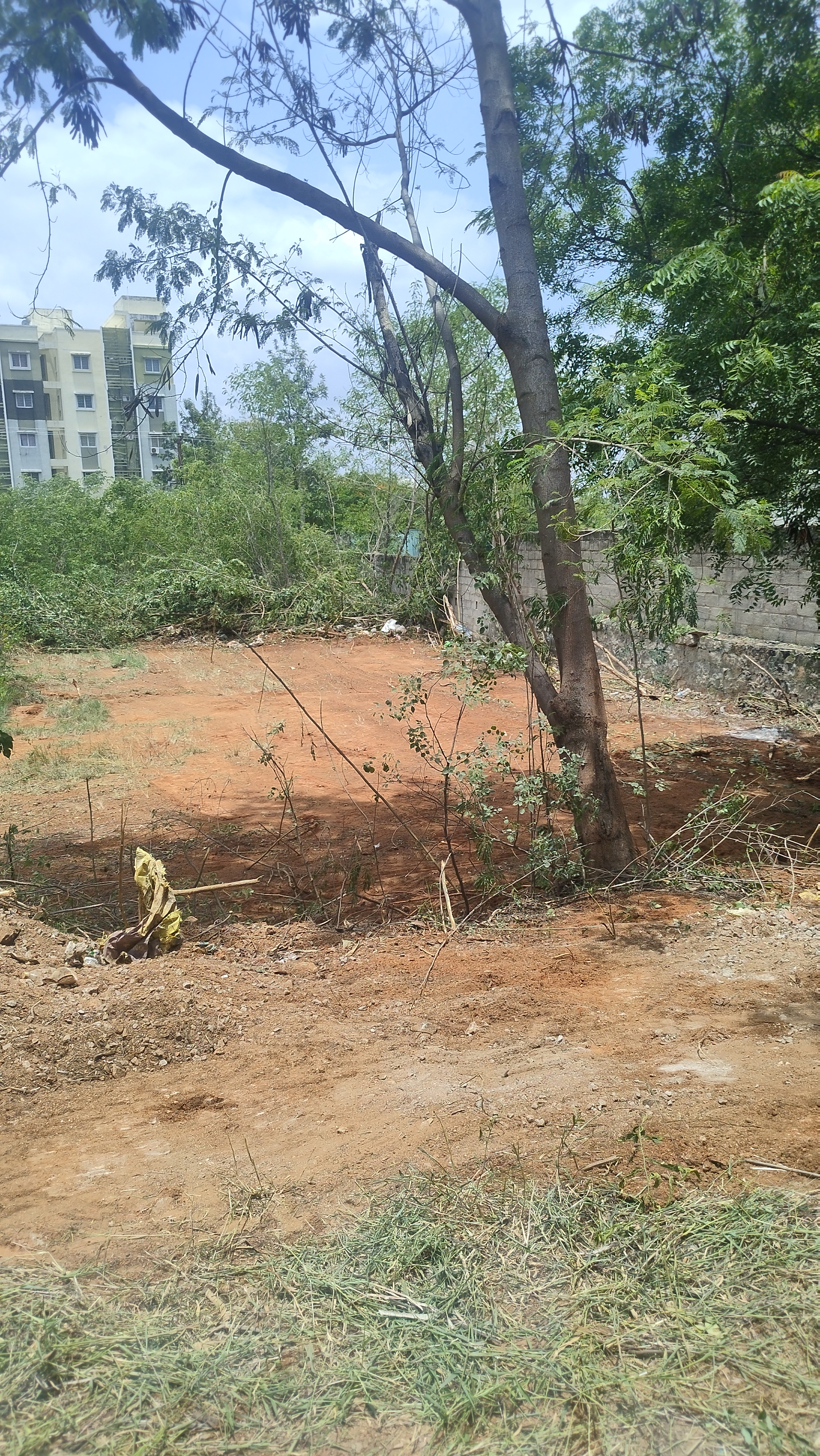Plot For Sale in Siva Sai Enclave