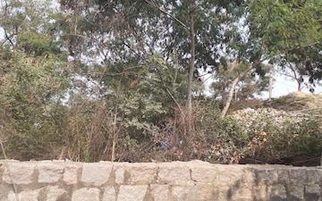 Plot For Sale in Bolarum