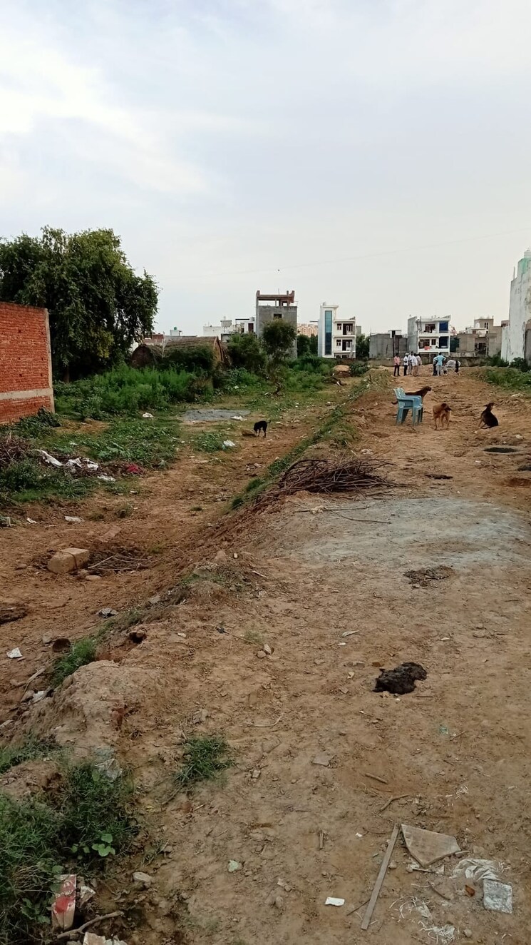 undefined, dadri  100 Sq.Yd. Plot In Dadri Greater Noida 8996804