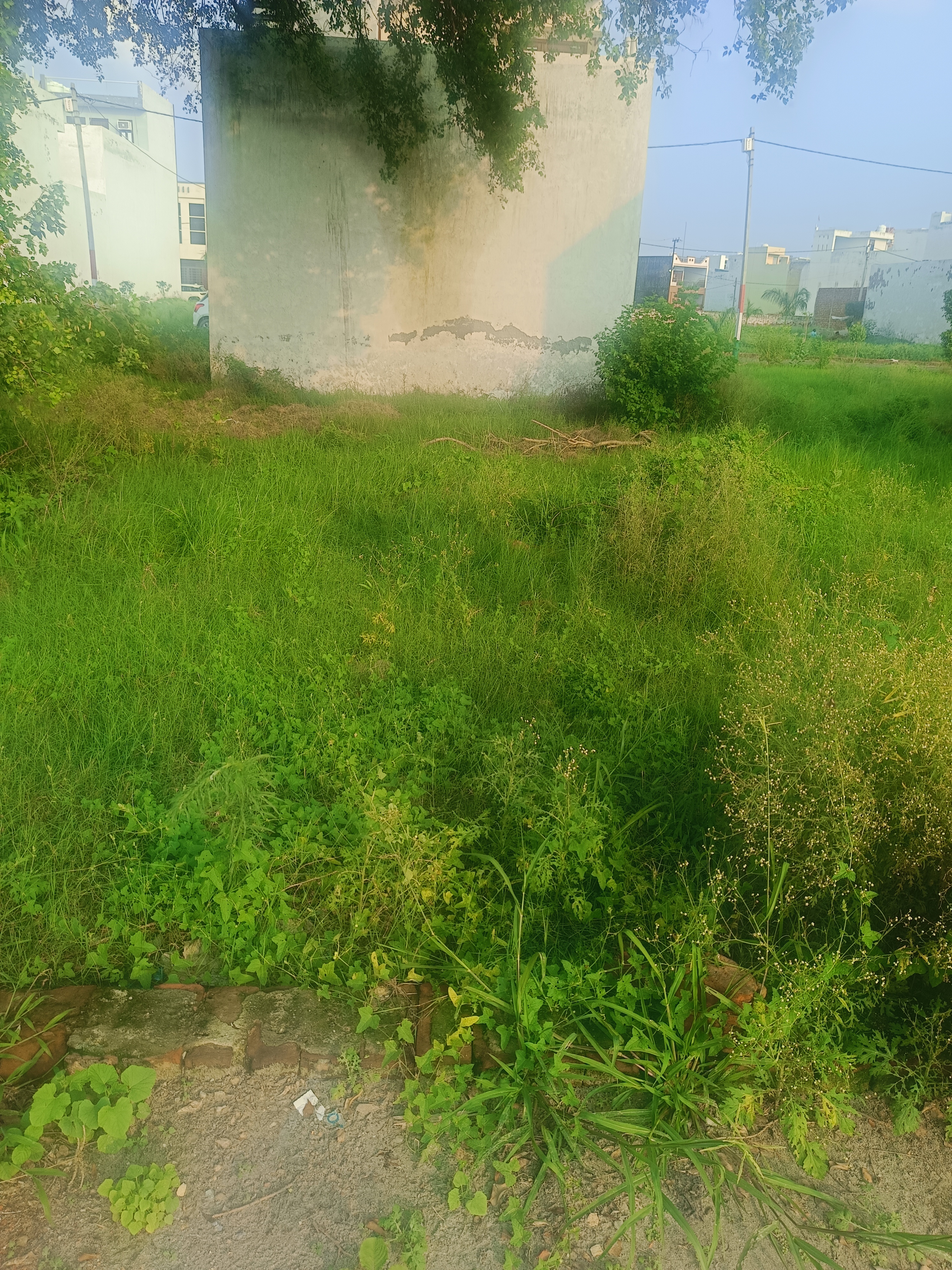 Plot For Sale in Partapur