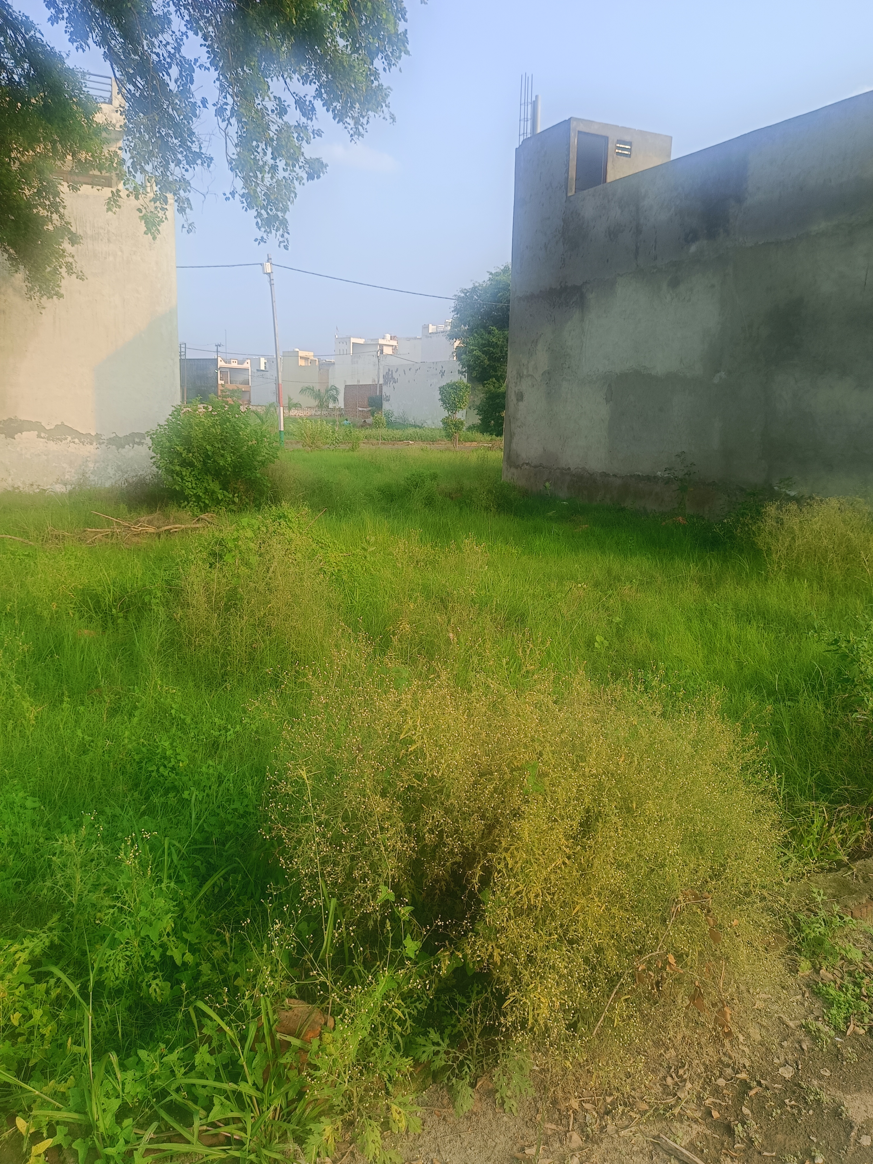 Plot For Sale in Partapur