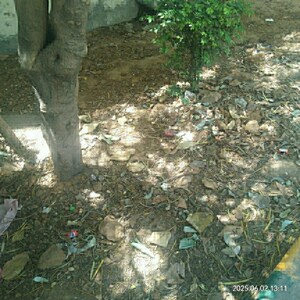  Land For Sale in Gurdev Nagar