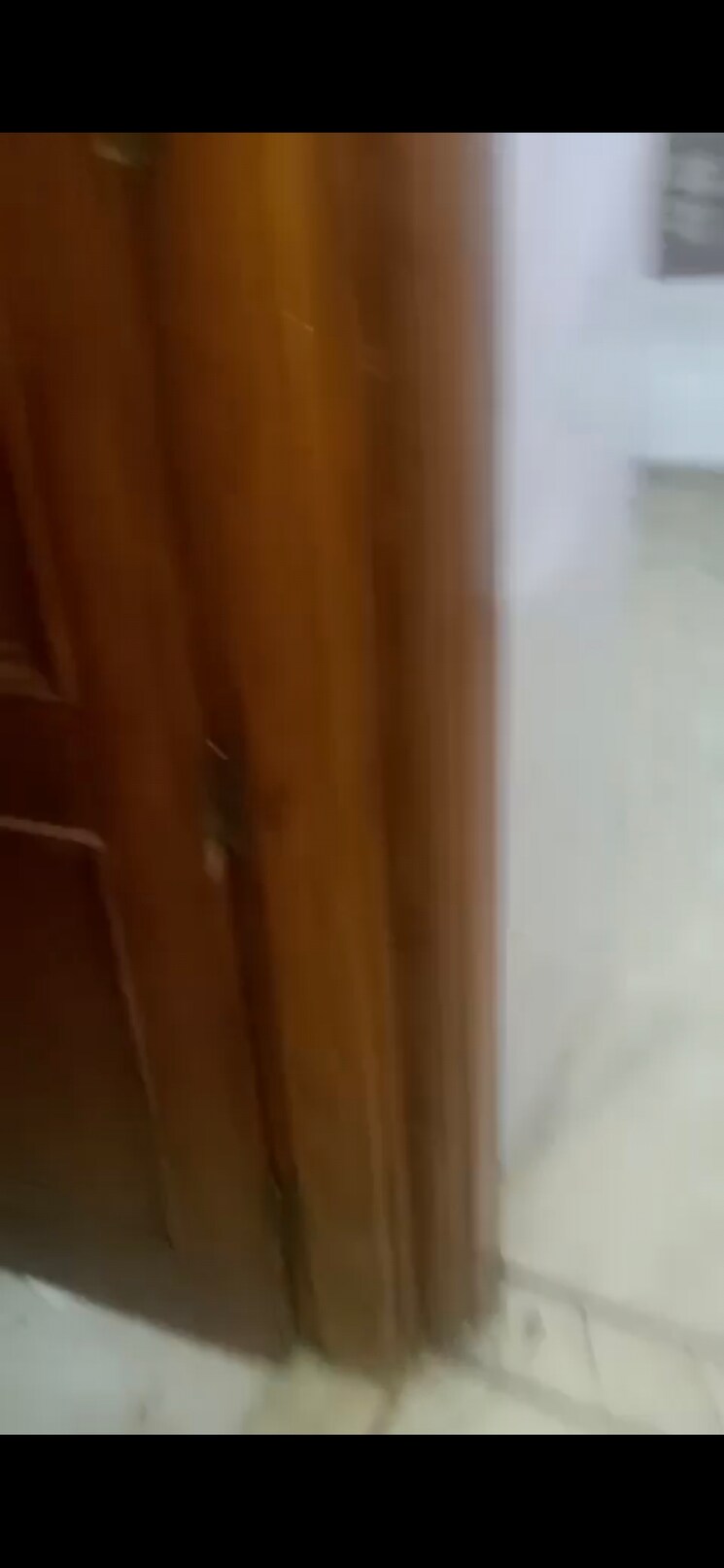 undefined, puri-pp-city-centre 2.5 Bedroom 100 Sq.Yd. Builder Floor In Pitampura Delhi 8997378