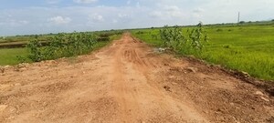 Plot Area in  Plot at Patrapada – for Sale