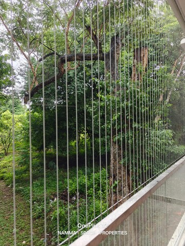 Balcony in 3 BHK Builder Floor at Hsr Layout – for Rent