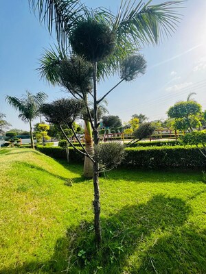 4 BHK Apartment – Garden View at Ratan Galaxy, Vrindavan Yojna - for Sale