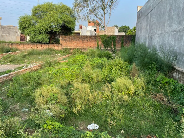 Garden, deva road  1500 Sq.Ft. Plot In Deva Road Lucknow 8997730