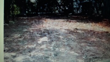  Plot For Sale in Basavanagudi