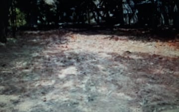 Plot For Sale in Basavanagudi