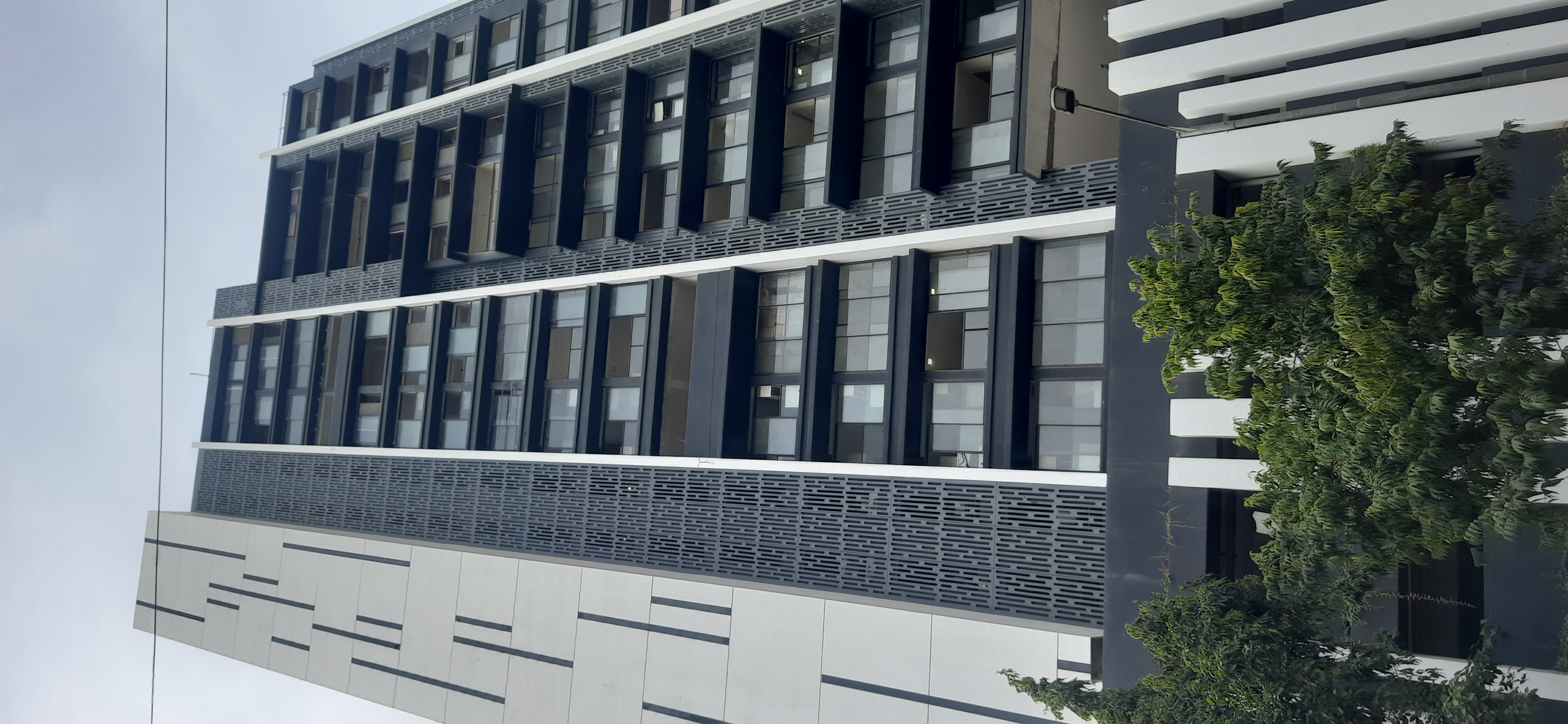 3 BHK + Study Room Apartment For Rent in Brand Newbuilding