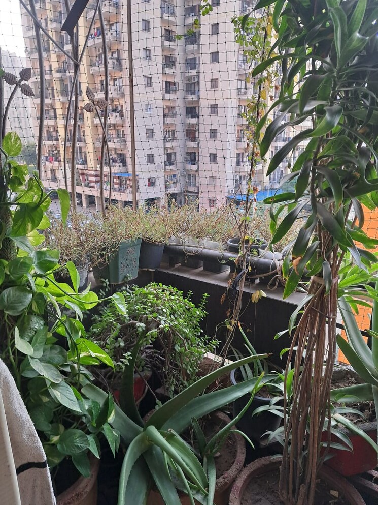 Exterior View, rps-savana 3 Bedroom 1416 Sq.Ft. Apartment In Sector 88 Faridabad 8997906