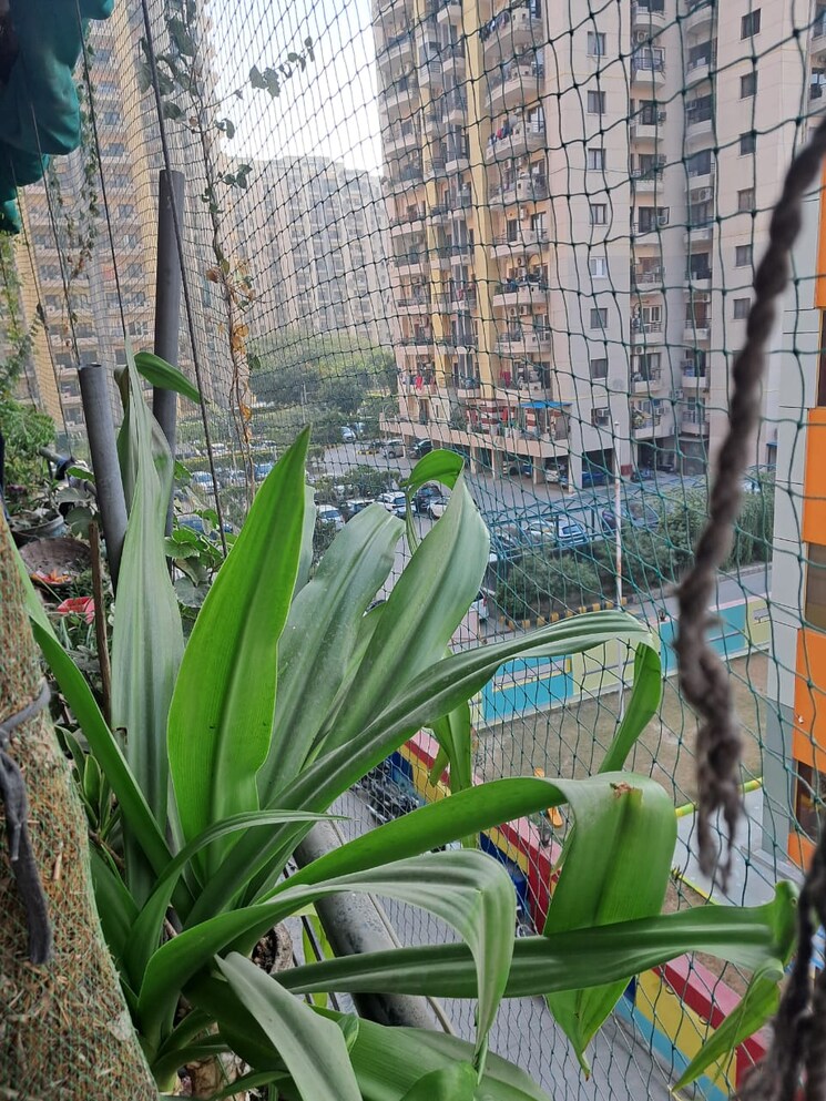 Balcony, rps-savana 3 Bedroom 1416 Sq.Ft. Apartment In Sector 88 Faridabad 8997906