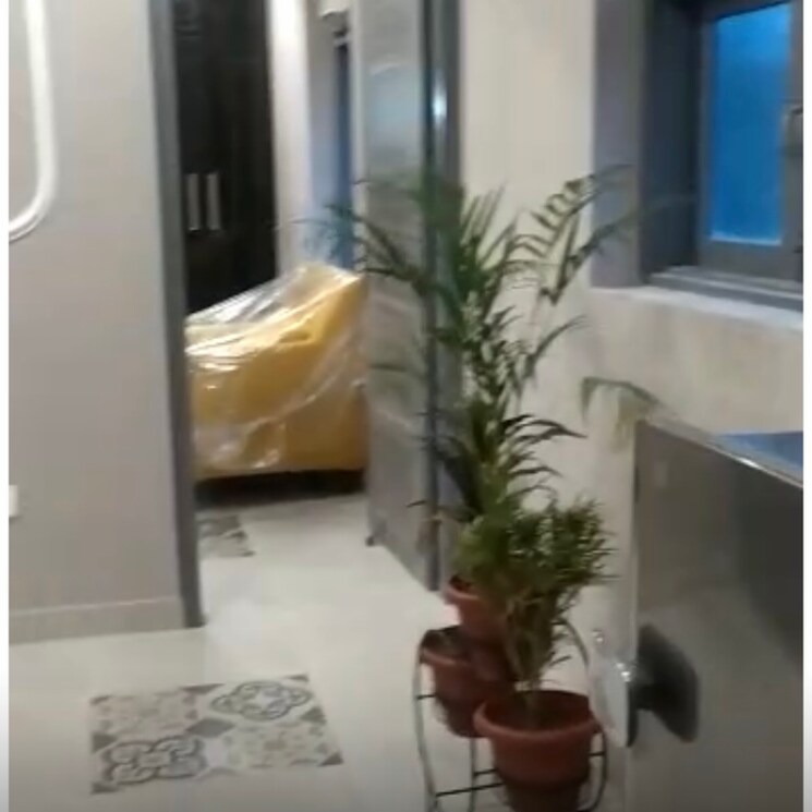 Living Room, lajpat nagar ii 1 Bedroom 450 Sq.Ft. Builder Floor In Lajpat Nagar ii Delhi 8997950