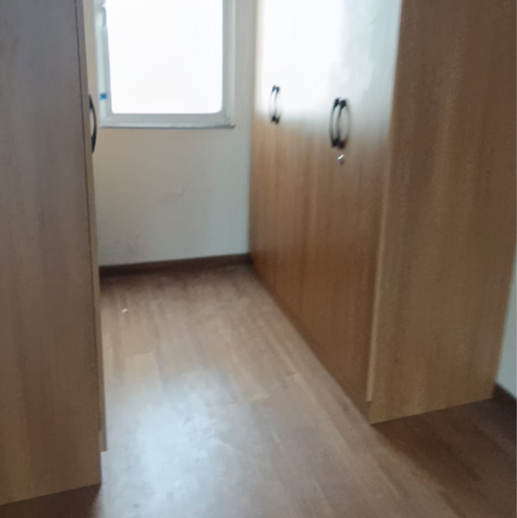 Room, godrej-woods 4 Bedroom 2257 Sq.Ft. Apartment In Sector 43 Noida 8998147