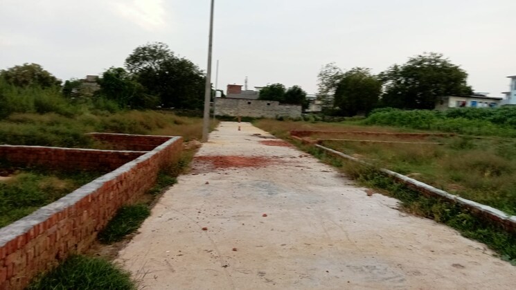 undefined, dadri  60 Sq.Yd. Plot In Dadri Greater Noida 8998160