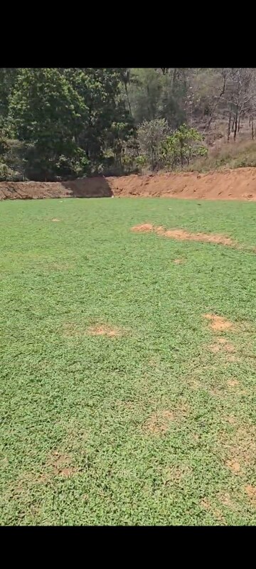 Plot Area in  Land at Thrissur Road – for Sale