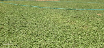 Plot Area in  Land at Thrissur Road – for Sale
