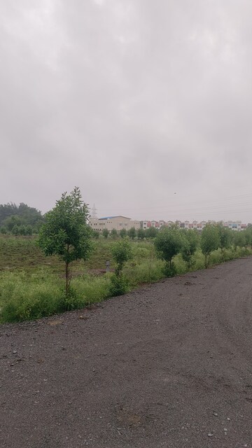 Plot Area in  Plot at Sejbahar – for Sale