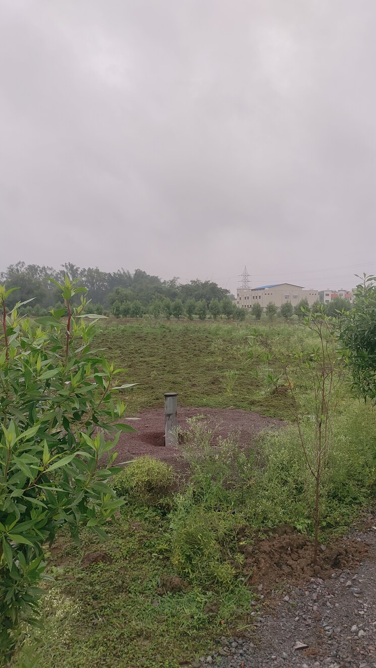 undefined, sejbahar  6000 Sq.Ft. Plot In Sejbahar Raipur 8998356