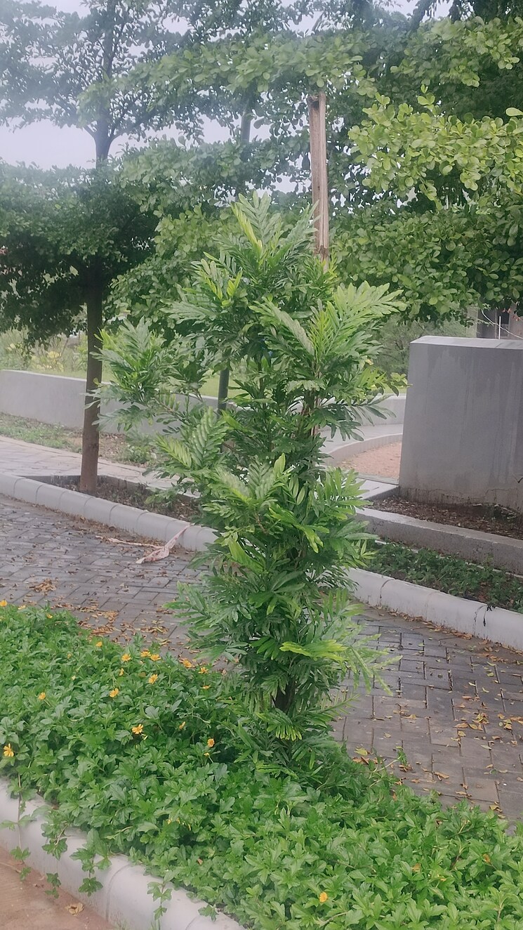 Exterior View, sejbahar  6000 Sq.Ft. Plot In Sejbahar Raipur 8998356