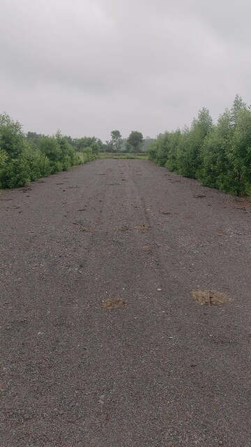 Plot Area in  Plot at Sejbahar – for Sale