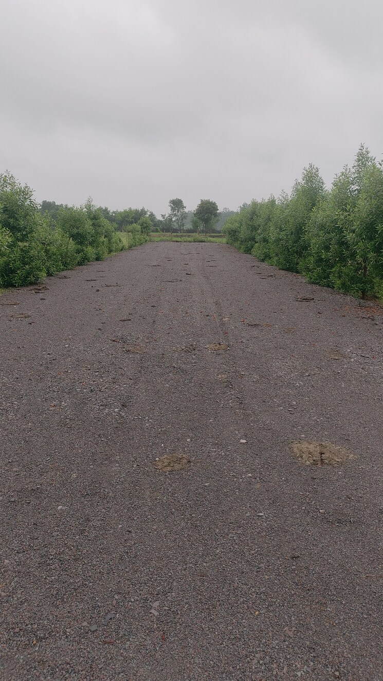 undefined, sejbahar  6000 Sq.Ft. Plot In Sejbahar Raipur 8998356