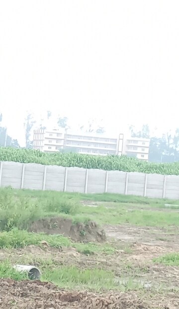 Plot Area in  Plot at Gamma Ii Greater Noida – for Sale