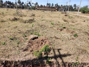  Plot For Sale in Bogadi Road