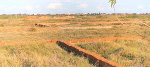 Plot Area in  Plot at Patrapada – for Sale