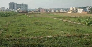 Plot Area in  Plot at Badowala – for Sale