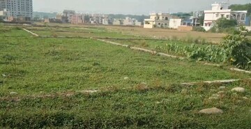  Plot For Sale in Badowala