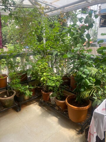 2 BHK Apartment – Garden View at Pethkar Samrajya, Kothrud - for Rent