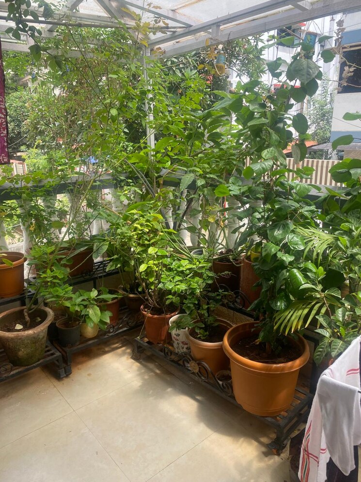 Garden, pethkar-samrajya 2 Bedroom 1250 Sq.Ft. Apartment In Kothrud Pune 8999124