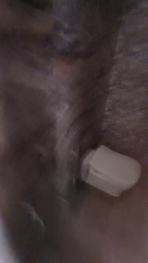 Room in 1 BHK Apartment at Joshi Amar Vaishali CHS, Naupada – for Sale