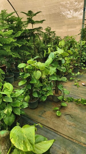 4 BHK Independent House – Garden View at Sector 156 - for Sale