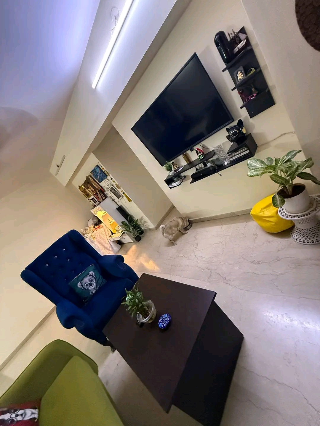 1 BHK + Pooja Room Apartment For Rent in Deep Heights