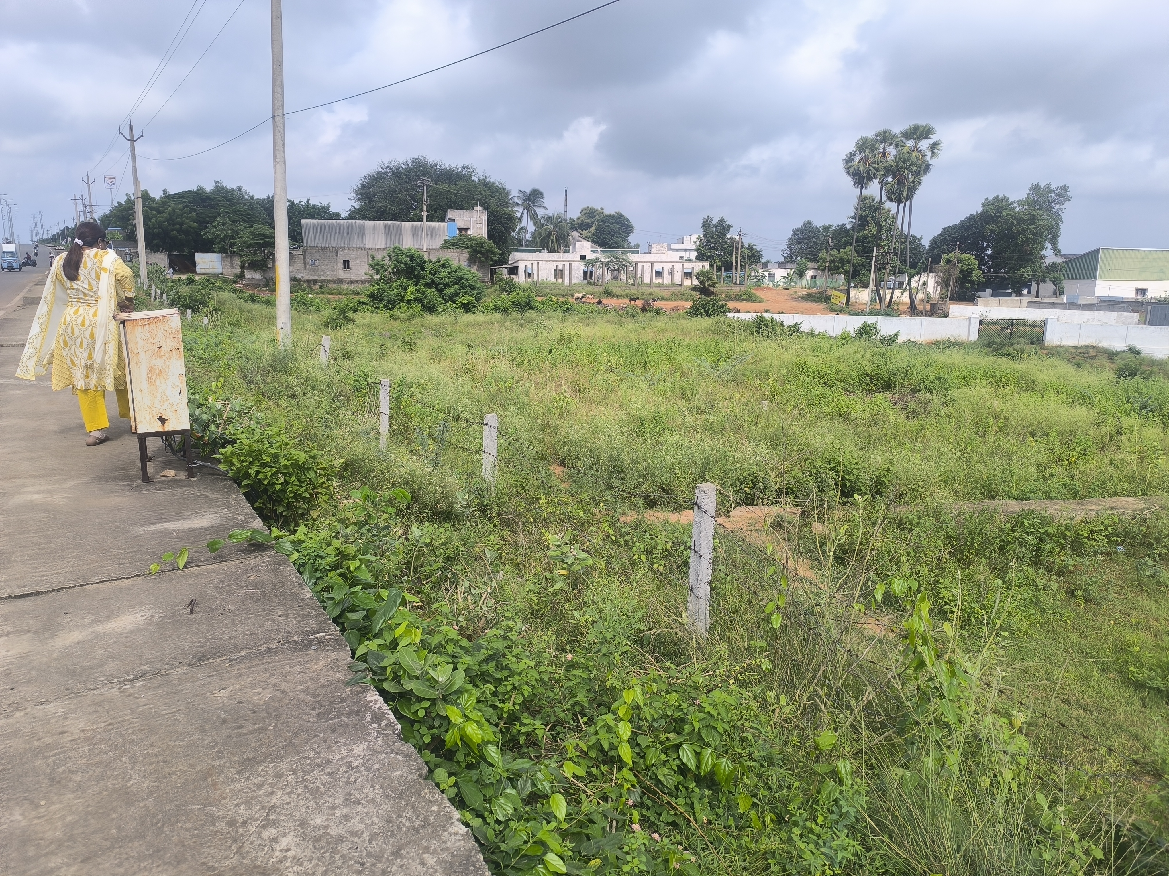 Plot For Sale in Siri Layout Tallavalasa