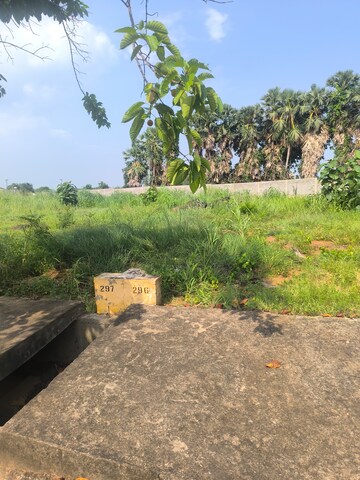 Plot Area in  Plot at Tallavalasa – for Sale